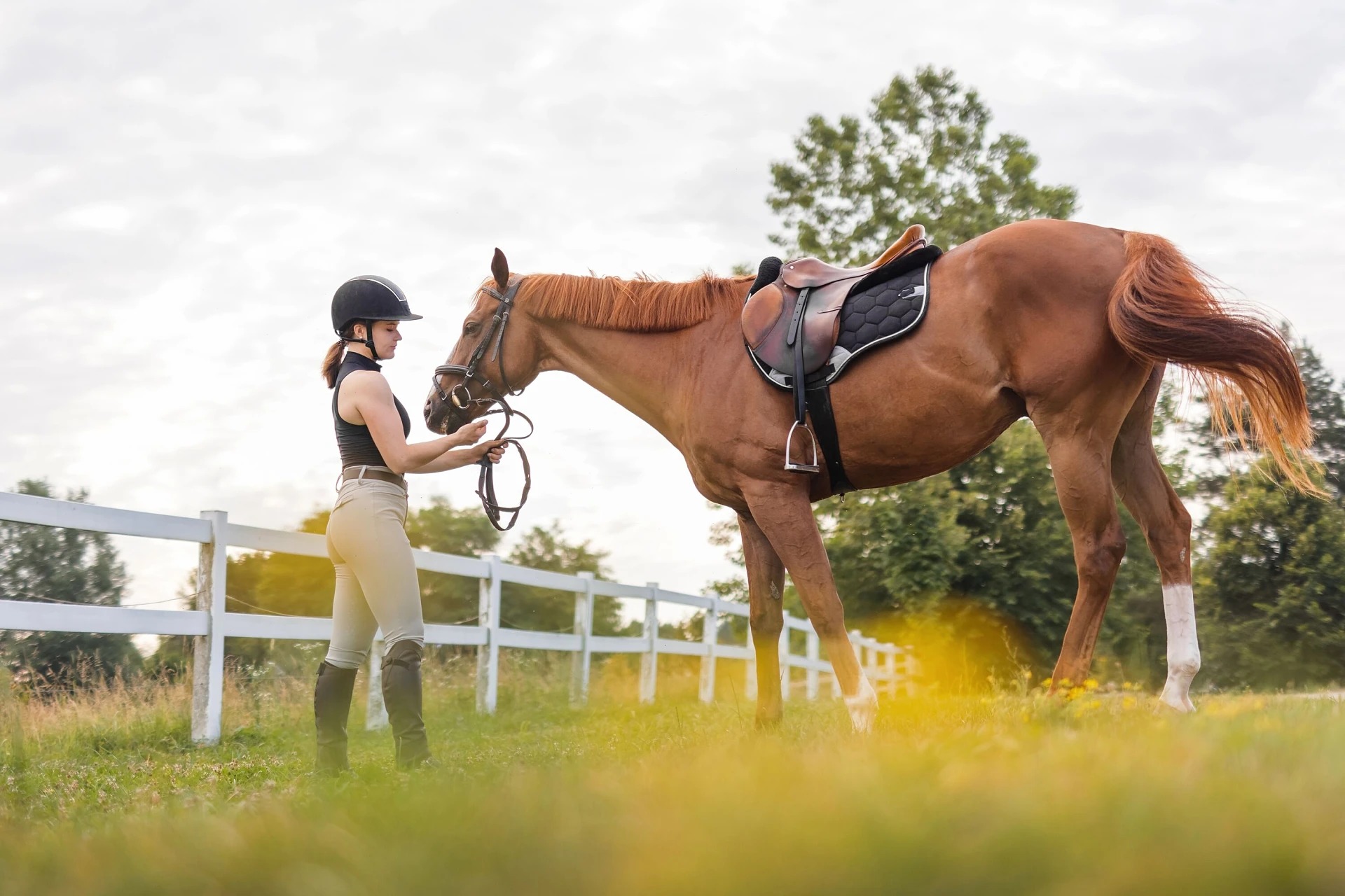 Young,Female,Horsewoman,Petting,And,Bonding,With,Her,Horse,Outside Young,Female,Horsewoman,Petting,And,Bonding,With,Her,Horse,Outside