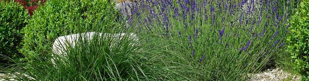 Natursteinarbeiten Natursteinarbeiten