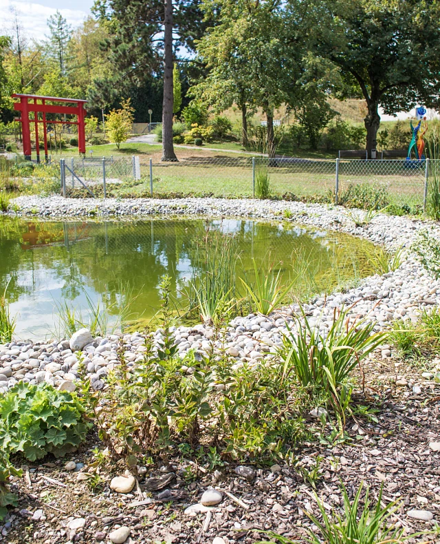 haslergartenbaugärten (29 von 234) haslergartenbaugärten (29 von 234)